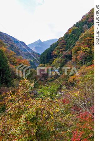 埼玉奥秩父の秋 紅葉の金蔵落としの渓流 埼玉奥秩父の秋 紅葉の金蔵落としの渓流 113078090