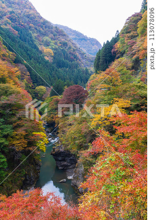 埼玉奥秩父の秋　紅葉の金蔵落としの渓流　 113078096