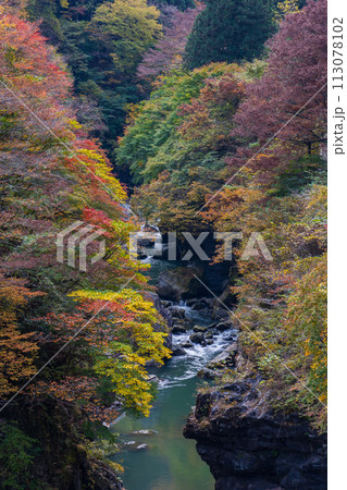 埼玉奥秩父の秋　紅葉の金蔵落としの渓流　 113078102