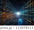 サイバー空間のトンネル (AI画像) 113078513