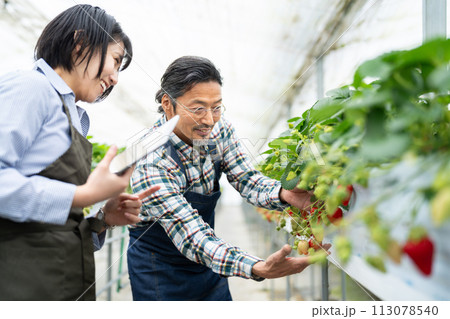 スマート農業 スマート農業 113078540