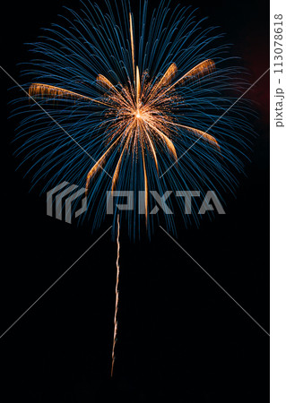 夜空に広がる花火 夜空に広がる花火 113078618