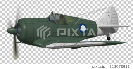 fighter plane, airplane, fly 113078911