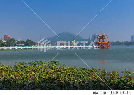 蓮池潭(台湾-高雄) 113079130