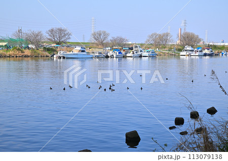 春の陽気 荒川本流 笹目橋橋下からの眺め 春の風景 春の陽気 荒川本流 笹目橋橋下からの眺め 春の風景 113079138
