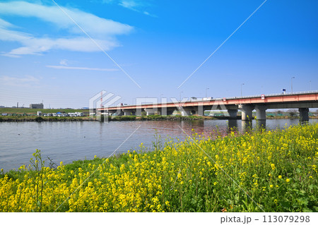 春の陽気 菜の花の咲くころ 荒川本流 春の風景 春の陽気 菜の花の咲くころ 荒川本流 春の風景 113079298