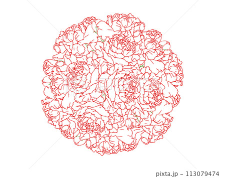 カーネーションの花束(赤線画) 113079474