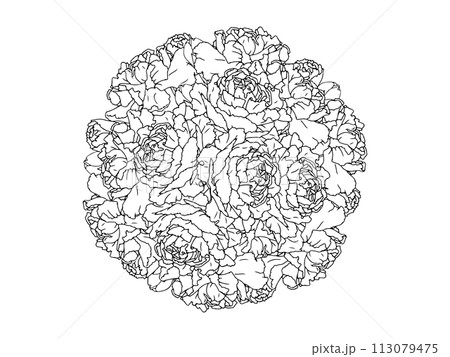 カーネーションの花束(黒線画) 113079475