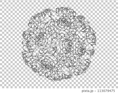 カーネーションの花束(黒線画) 113079475
