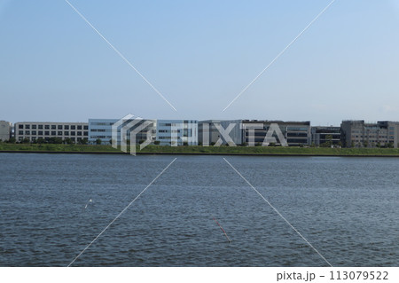 川崎 殿町の街並み 川崎 殿町の街並み 113079522