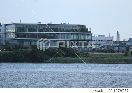 川崎　殿町の街並み 113079777