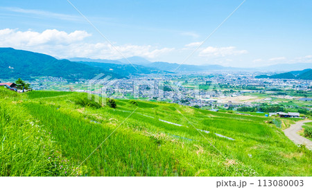 姨捨の棚田(6月) 姨捨の棚田(6月) 113080003