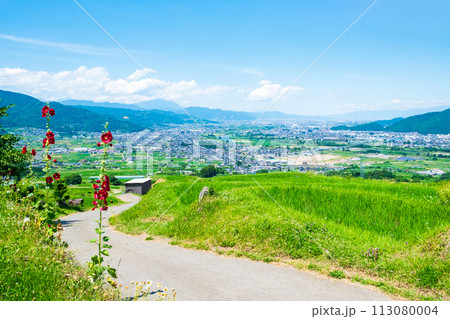 姨捨の棚田(6月) 姨捨の棚田(6月) 113080004