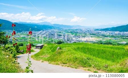 姨捨の棚田（6月） 113080005