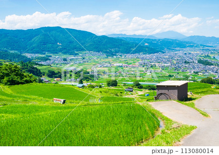 姨捨の棚田(6月) 姨捨の棚田(6月) 113080014