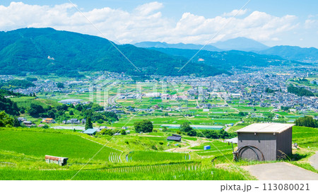 姨捨の棚田（6月） 113080021