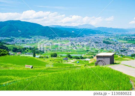 姨捨の棚田(6月) 姨捨の棚田(6月) 113080022