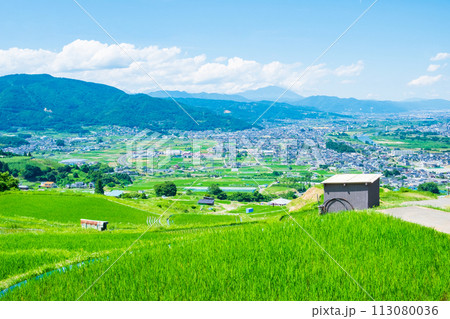 姨捨の棚田(6月) 姨捨の棚田(6月) 113080036