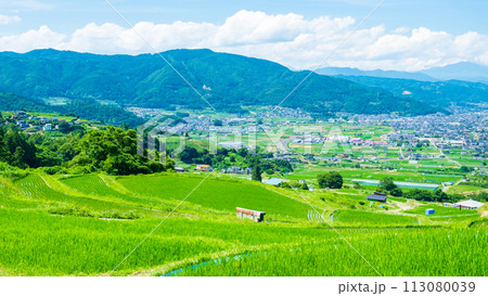 姨捨の棚田(6月) 姨捨の棚田(6月) 113080039