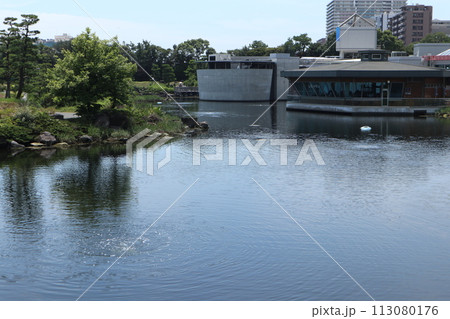 品川区民公園 品川区民公園 113080176