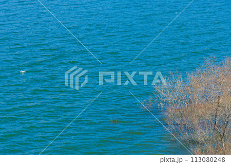 なごりの雪 宮城県 南川ダム 七ツ森湖 なごりの雪 宮城県 南川ダム 七ツ森湖 113080248