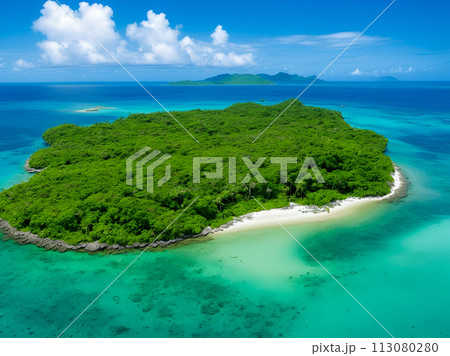 aerial view of tropical island with palm trees 113080280