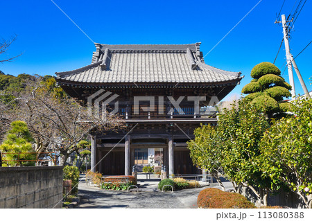 海善寺（静岡県下田市） 113080388