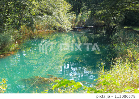 磐梯朝日国立公園　裏磐梯の五色沼湖沼群るり沼の風景 113080579