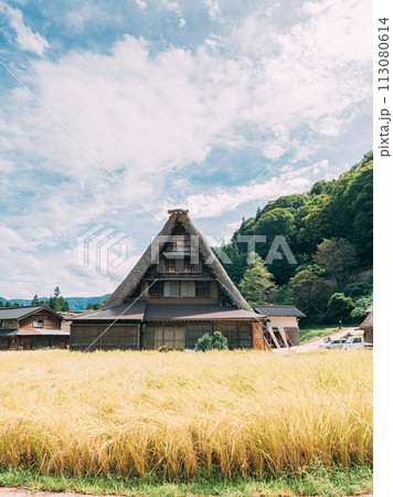 白川郷合掌造りのある風景 白川郷合掌造りのある風景 113080614