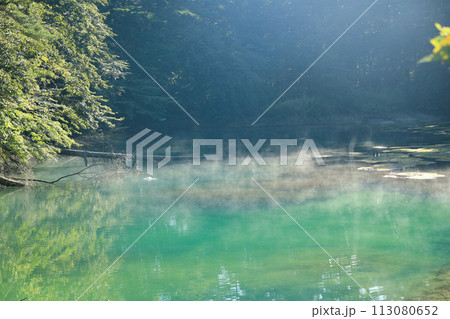 磐梯朝日国立公園　裏磐梯の五色沼湖沼群青沼の風景 113080652