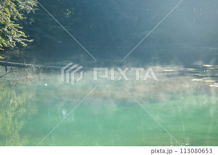 磐梯朝日国立公園 裏磐梯の五色沼湖沼群青沼の風景 磐梯朝日国立公園 裏磐梯の五色沼湖沼群青沼の風景 113080653