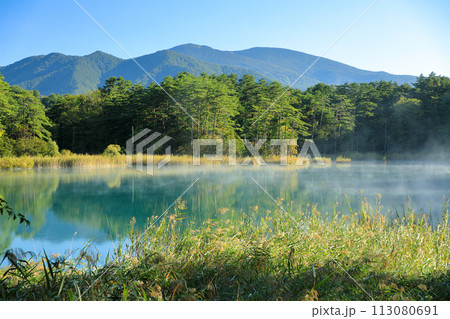 磐梯朝日国立公園 裏磐梯五色沼湖沼群るり沼の朝霧の風景 磐梯朝日国立公園 裏磐梯五色沼湖沼群るり沼の朝霧の風景 113080691