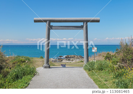 洲崎神社 一の鳥居と海に続く参道 千葉県南房総市 洲崎神社 一の鳥居と海に続く参道 千葉県南房総市 113081465