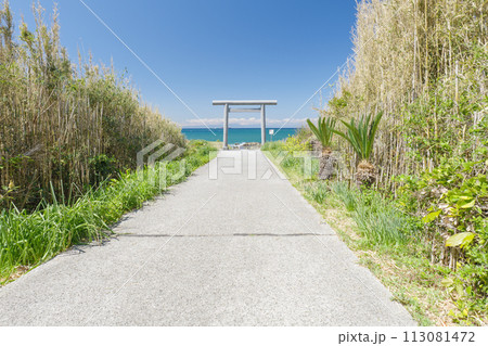 洲崎神社　一の鳥居と海に続く参道　千葉県南房総市 113081472