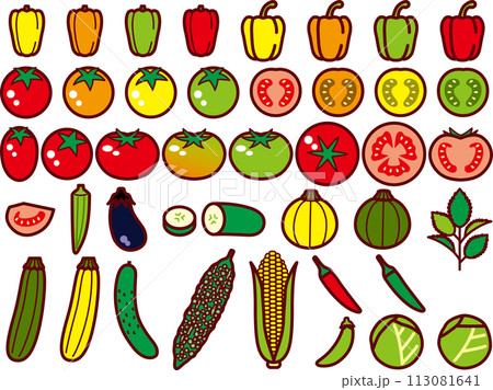 野菜セット1 野菜セット1 113081641