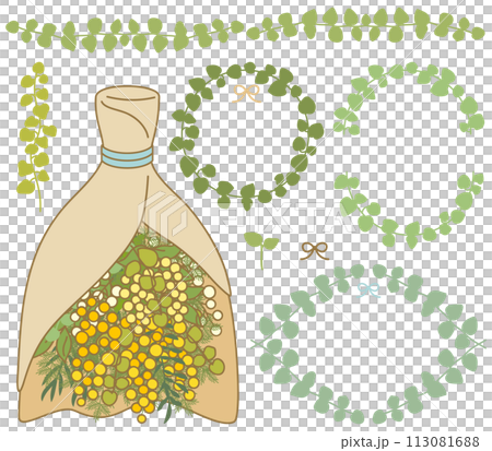 Decorative illustration of mimosa bouquet and ivy [set/material] 113081688
