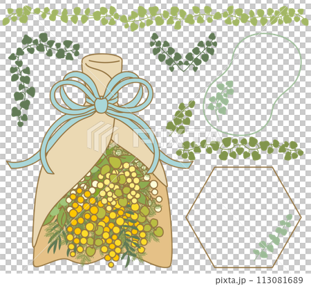 含羞草花束與常春藤裝飾插畫【套裝/素材】 含羞草花束與常春藤裝飾插畫【套裝/素材】 113081689