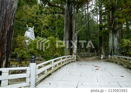 高野山奥の院への入口　一の橋　和歌山県 113081981