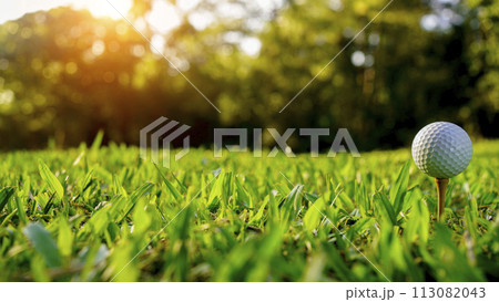 Golf ball on green grass in the evening golf course with sunshine background. Golf ball on green grass in the evening golf course with sunshine background. 113082043