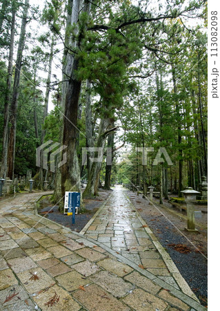 高野山 雨の石畳 奥の院へ向かう 和歌山県 高野山 雨の石畳 奥の院へ向かう 和歌山県 113082098