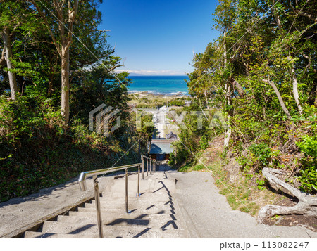 洲崎神社の本殿からの参道と太平洋の眺め 113082247