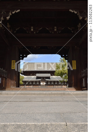 東寺 南大門から見る金堂 東寺 南大門から見る金堂 113082263