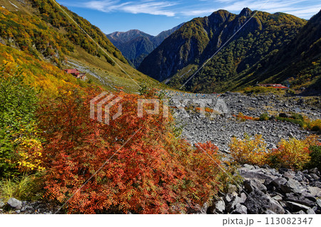 北アルプス・涸沢の紅葉と屛風ノ頭・大天井岳稜線 113082347