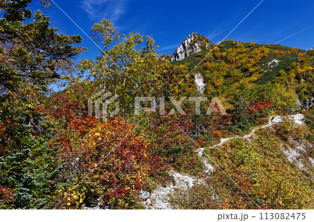 北アルプス・屏風のコルの紅葉と屛風ノ耳 113082475