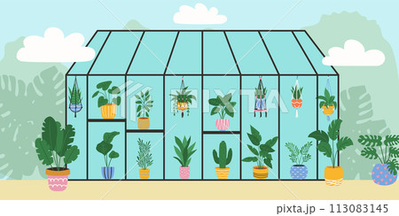 Botanical garden with plants in stylish planters and pots. Vector illustration. 113083145