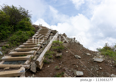 蛭ヶ岳から丹沢山間の登山道 113083277