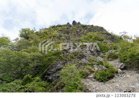 鬼ヶ岩、蛭ヶ岳から丹沢山間の登山道 113083278