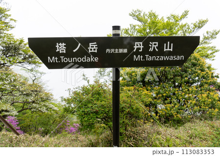丹沢山から塔ノ岳間の登山道 丹沢山から塔ノ岳間の登山道 113083353