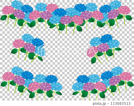 繡球G1 繡球G1 113083513