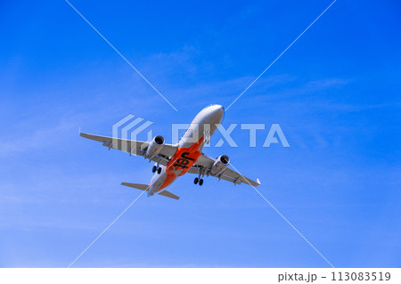 《飛行機》エアバス Airbus A320ceo Family > A320 113083519